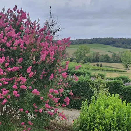 Feriehus Bol D'air En Gascogne *